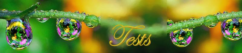 test